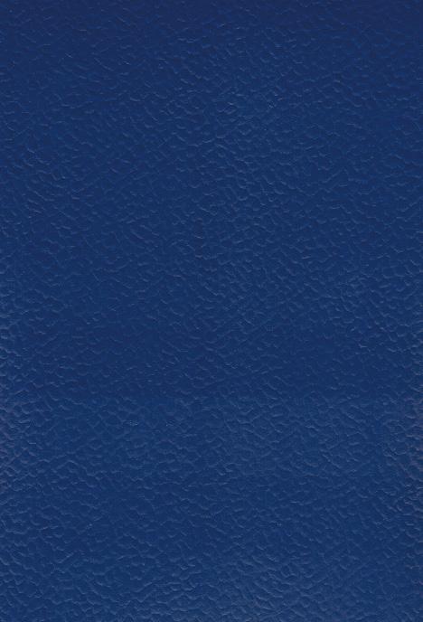 gambar: Sport Flooring seri: Multi-Purpose-Flooring